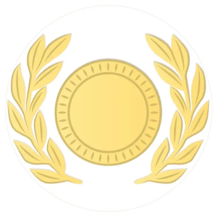 Formule Or - Site Vitrine à 1350€ avec maintenance 70€/mois